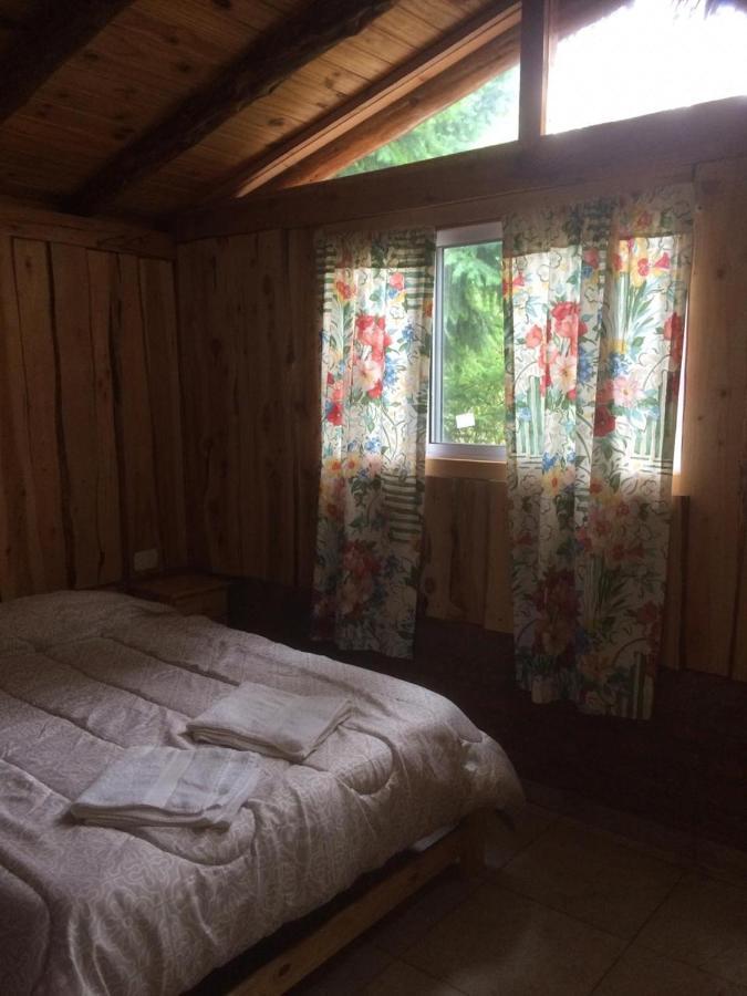 לאגו פואלו Cabanas Auquin Lemu מראה חיצוני תמונה